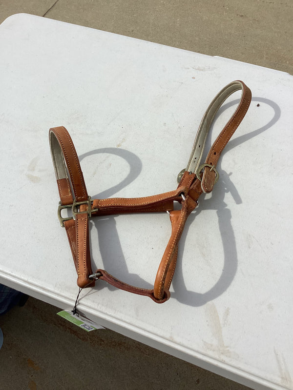 Halter – Light Brown Leather, Horse | Used, Very Good