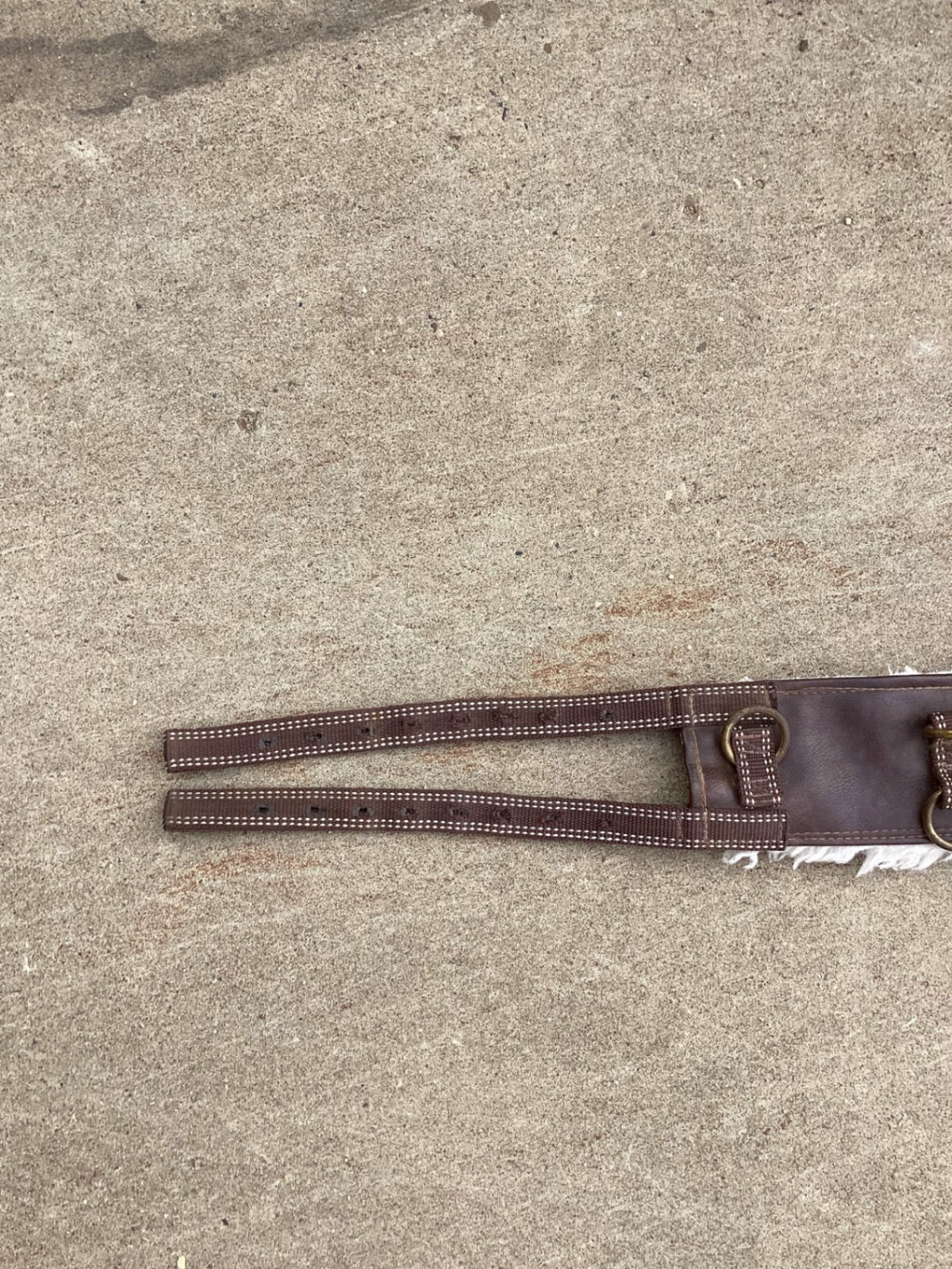 surcingle line driving harness 