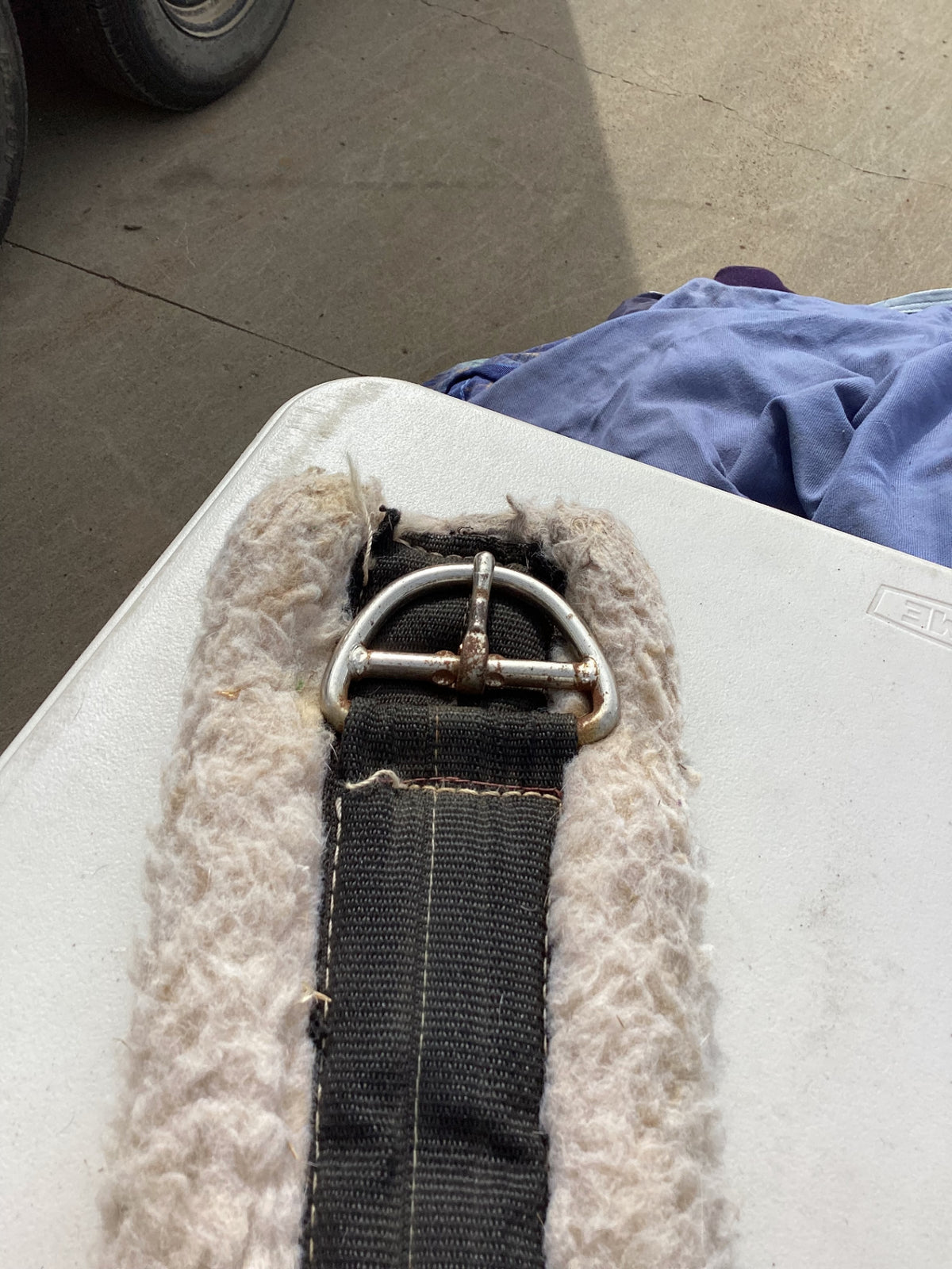 western cinch white fleece 34"