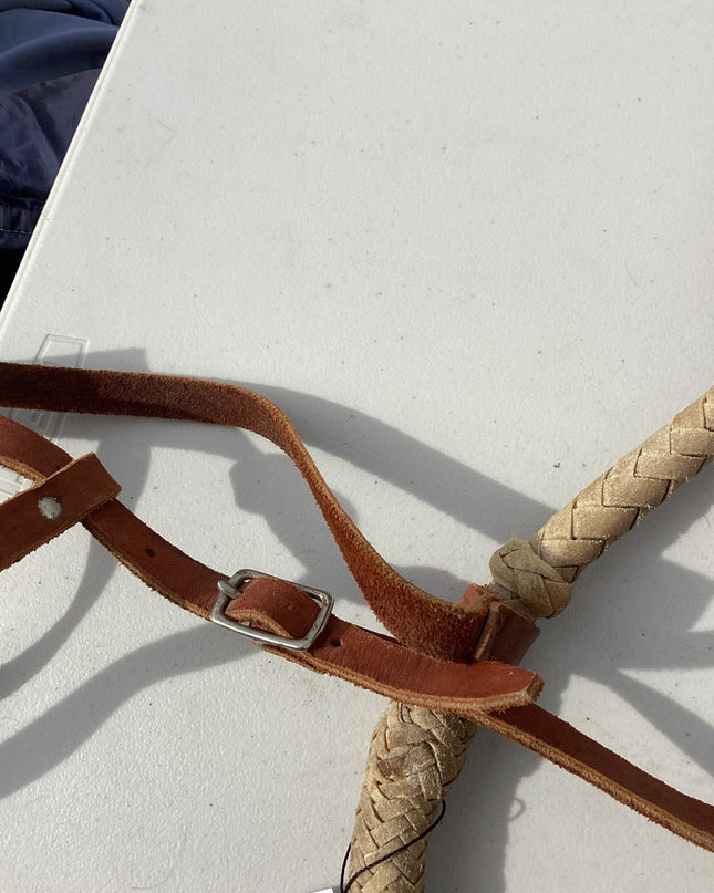 hackamore
