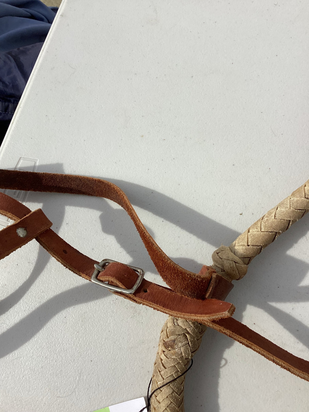 hackamore