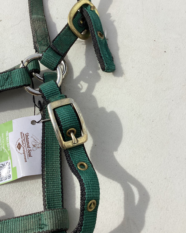 halter nylon dark green yearling pony size 