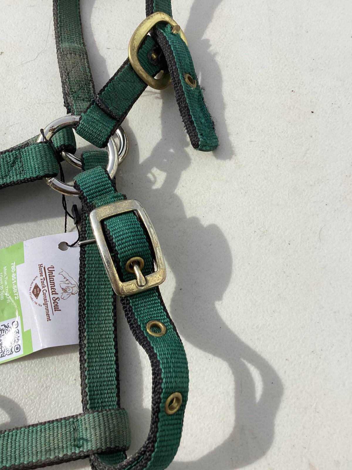 halter nylon dark green yearling pony size 