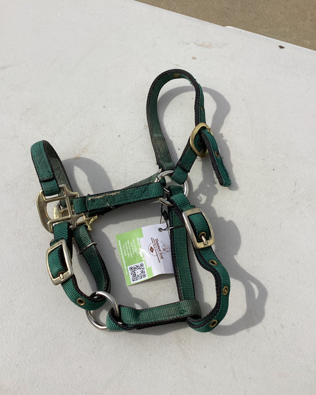 halter nylon dark green yearling pony size 