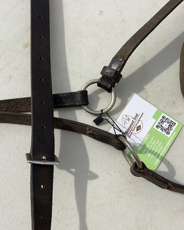 english martingale 