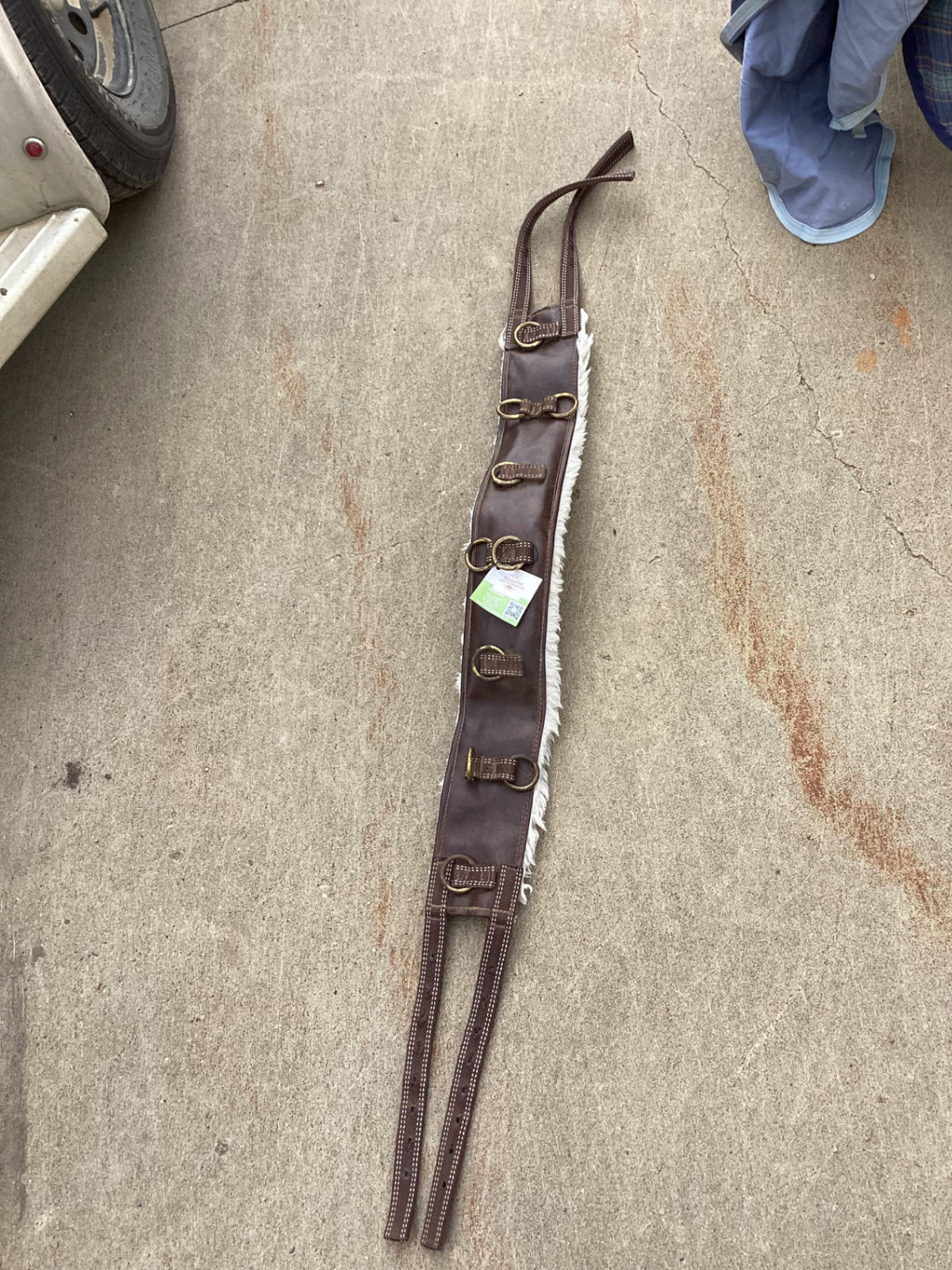 surcingle line driving harness 