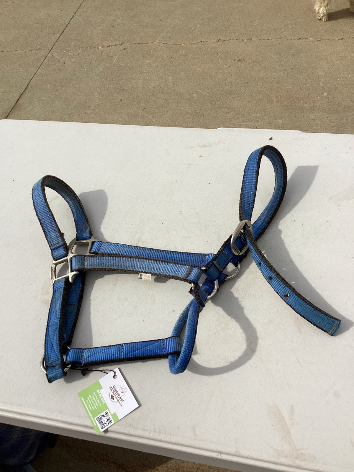 halter nylon blue 