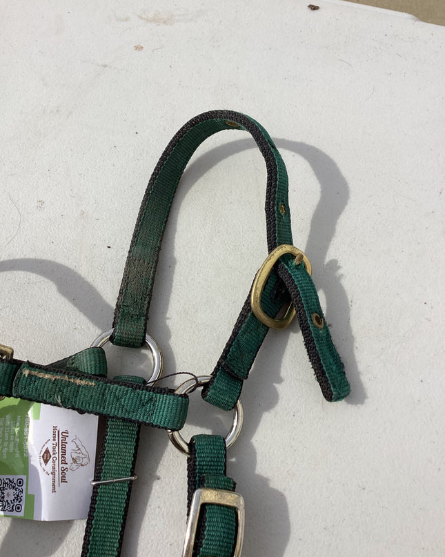 halter nylon dark green yearling pony size 