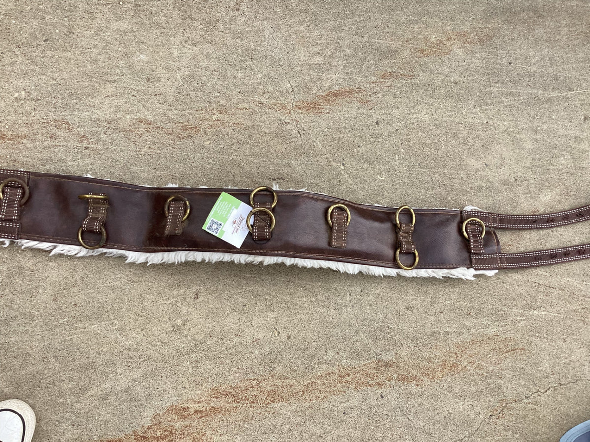 surcingle line driving harness 