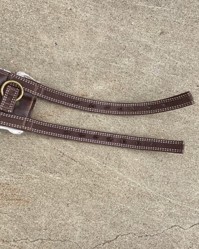 surcingle line driving harness 
