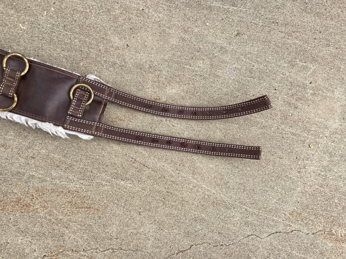 surcingle line driving harness 