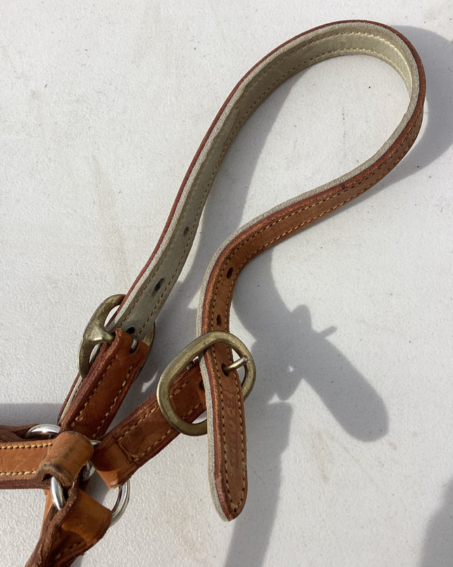 halter leather light brown 