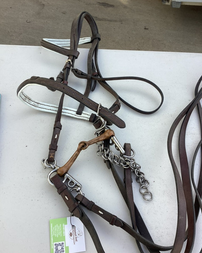 english bridle with bit 