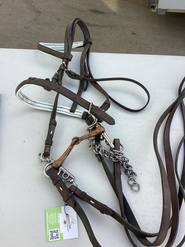 english bridle with bit 