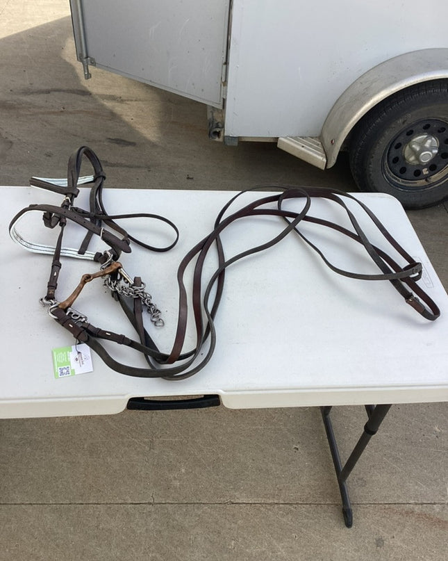 english bridle with bit 