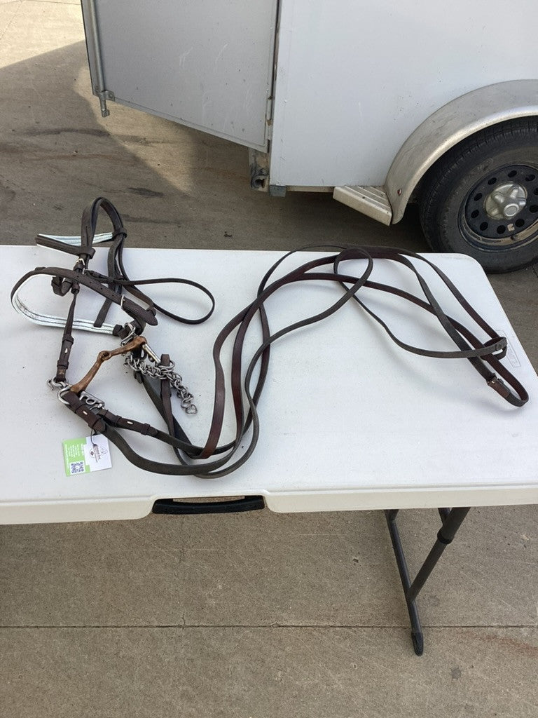 english bridle with bit 