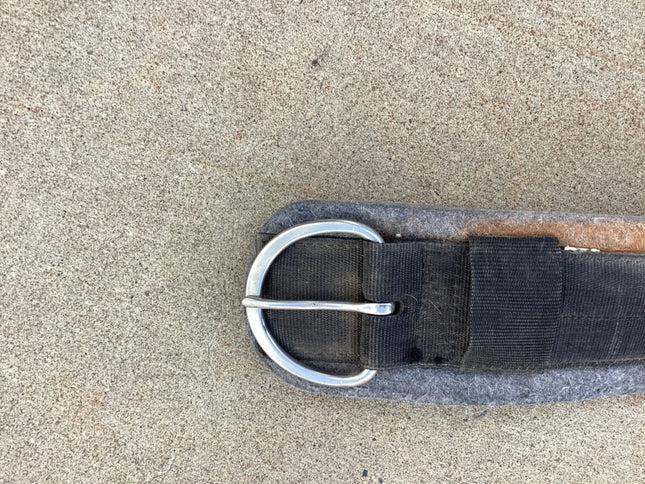 western cinch 35.5 