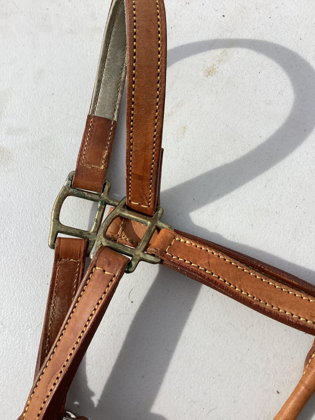 halter leather light brown 