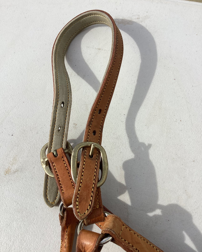 halter leather light brown 