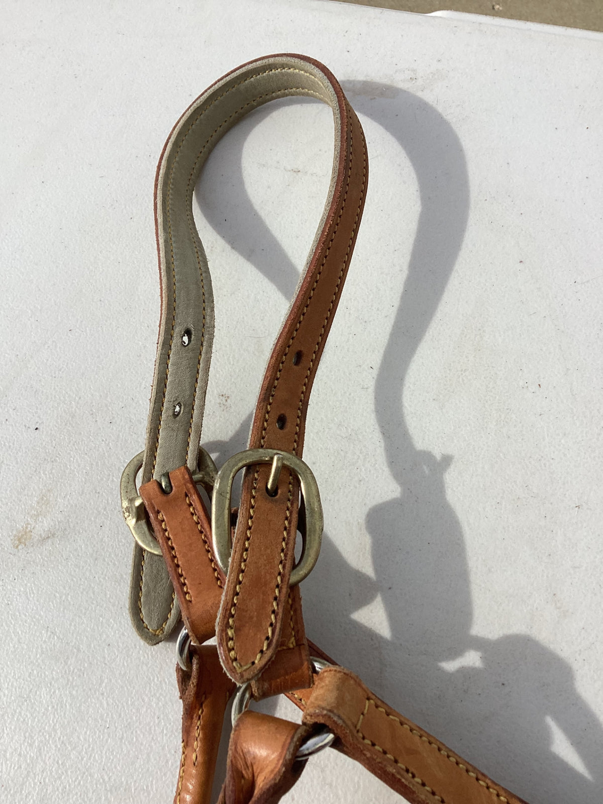 halter leather light brown 