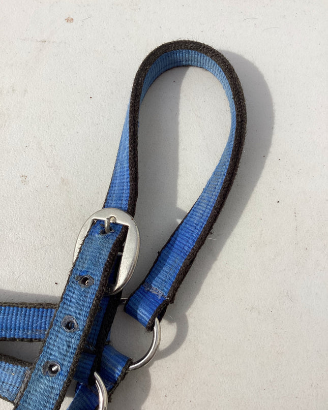 halter nylon blue 