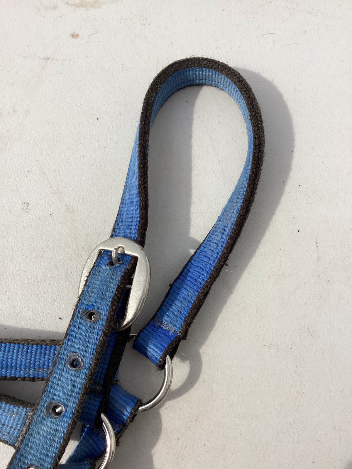 halter nylon blue 