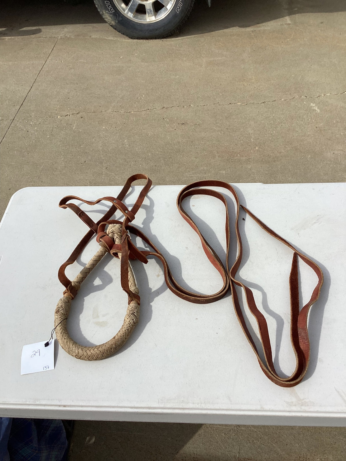 hackamore