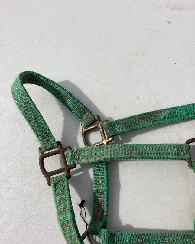 halter nylon green yealing pony 