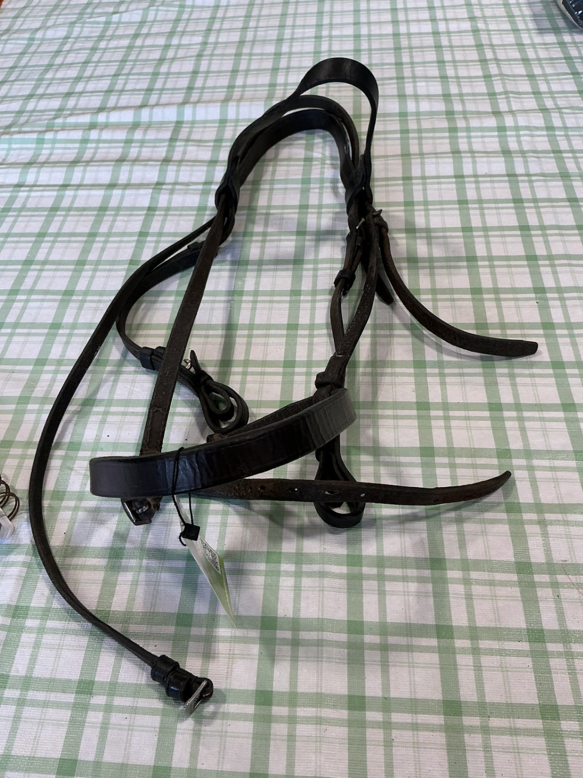 english nose band black 
