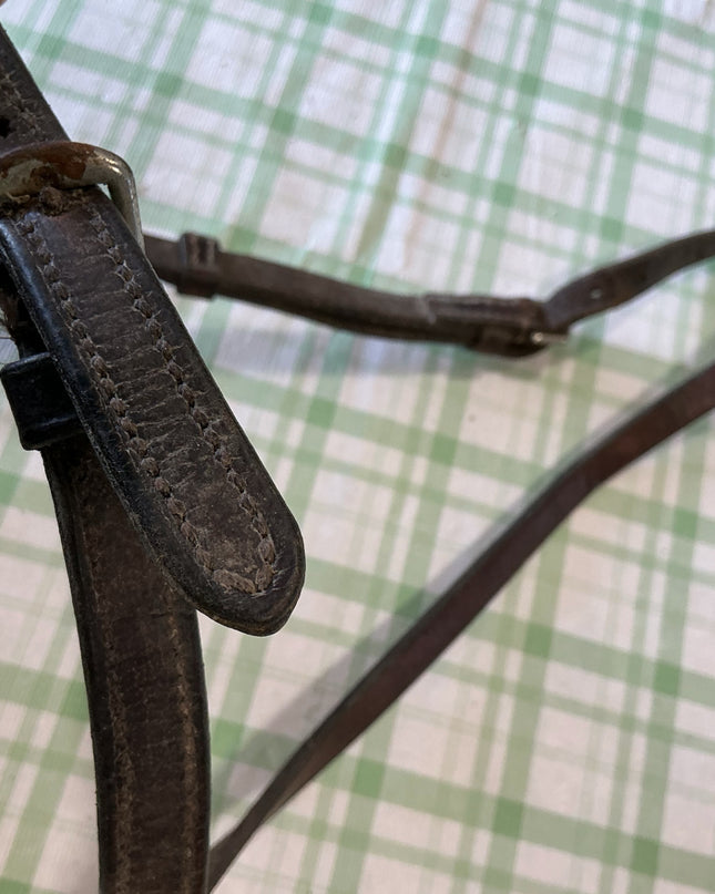 english nose band dark brown