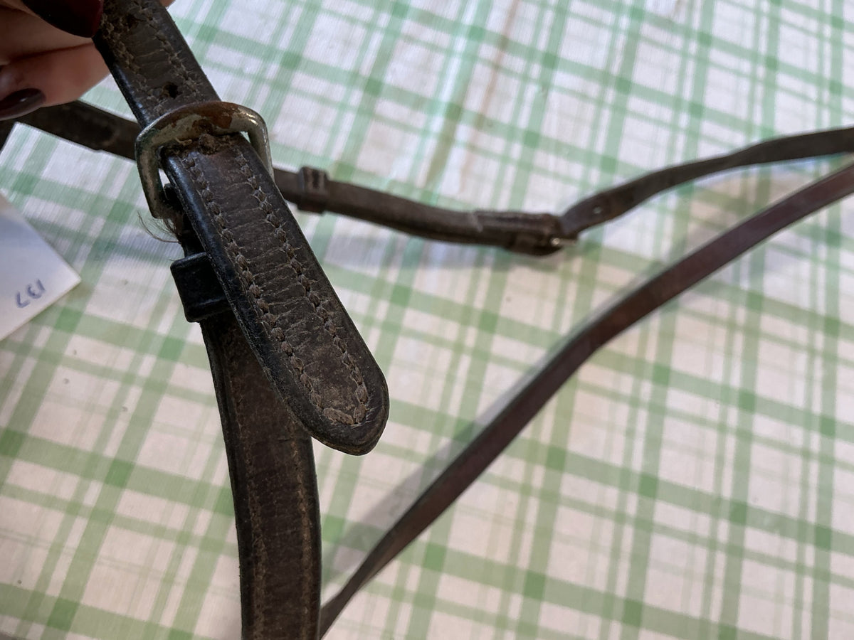 english nose band dark brown