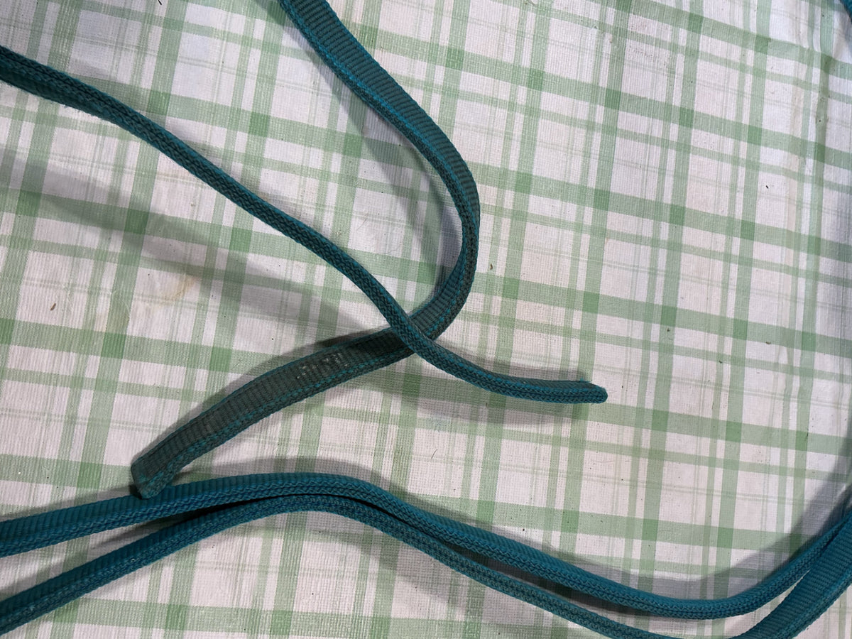extra long reins blue nylon 