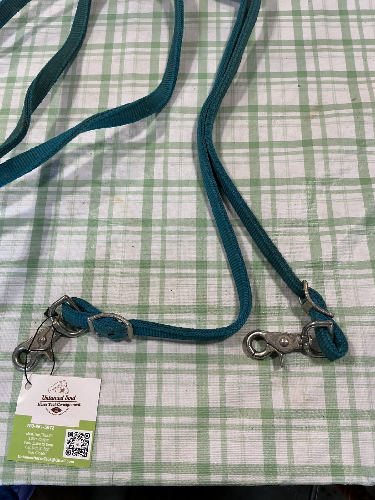 extra long reins blue nylon 