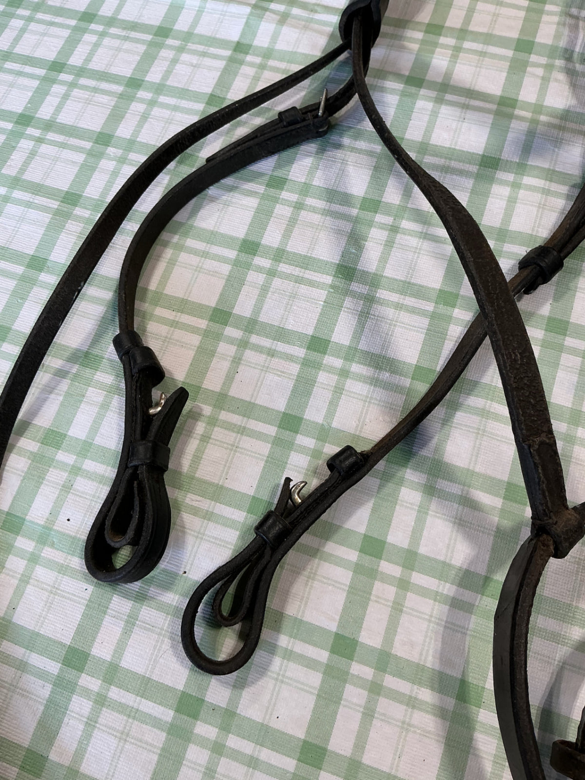 english nose band black 