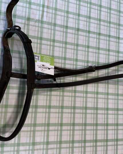 english nose band 