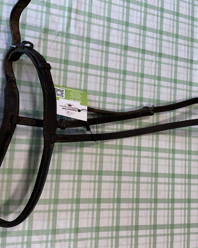 english nose band 
