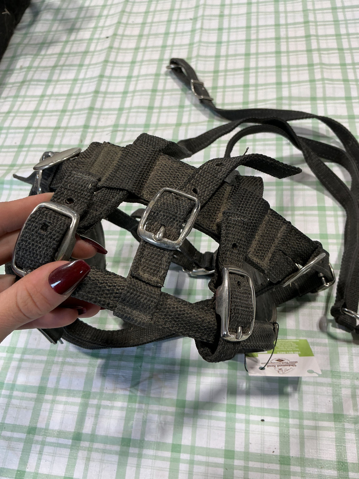 driving bridle blinkers included nylon black 