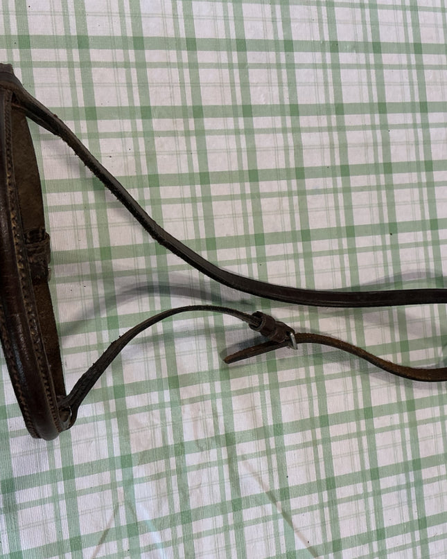english nose band dark brown 
