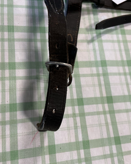 english nose band 