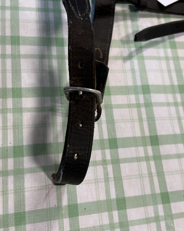english nose band 