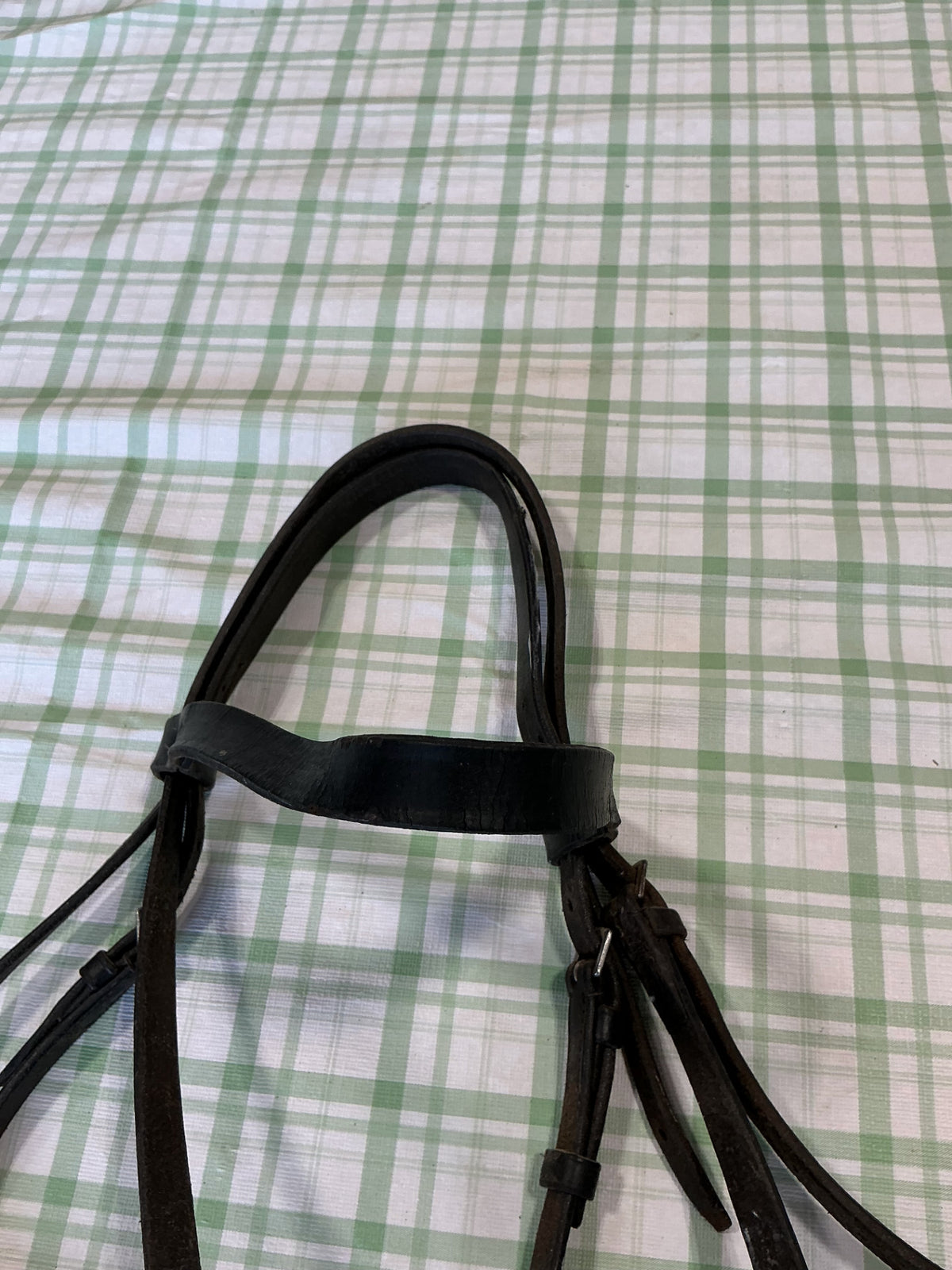 english riding bridle dark brown
