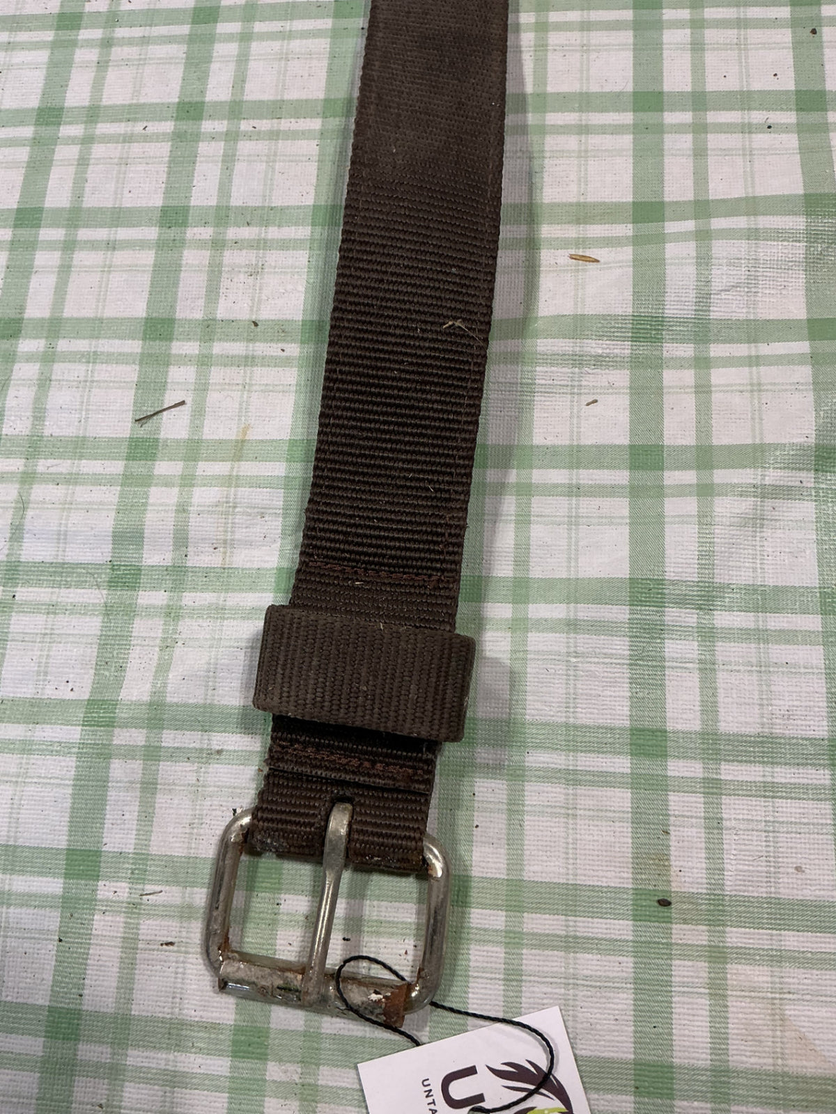 back cinch leather with extra strap 