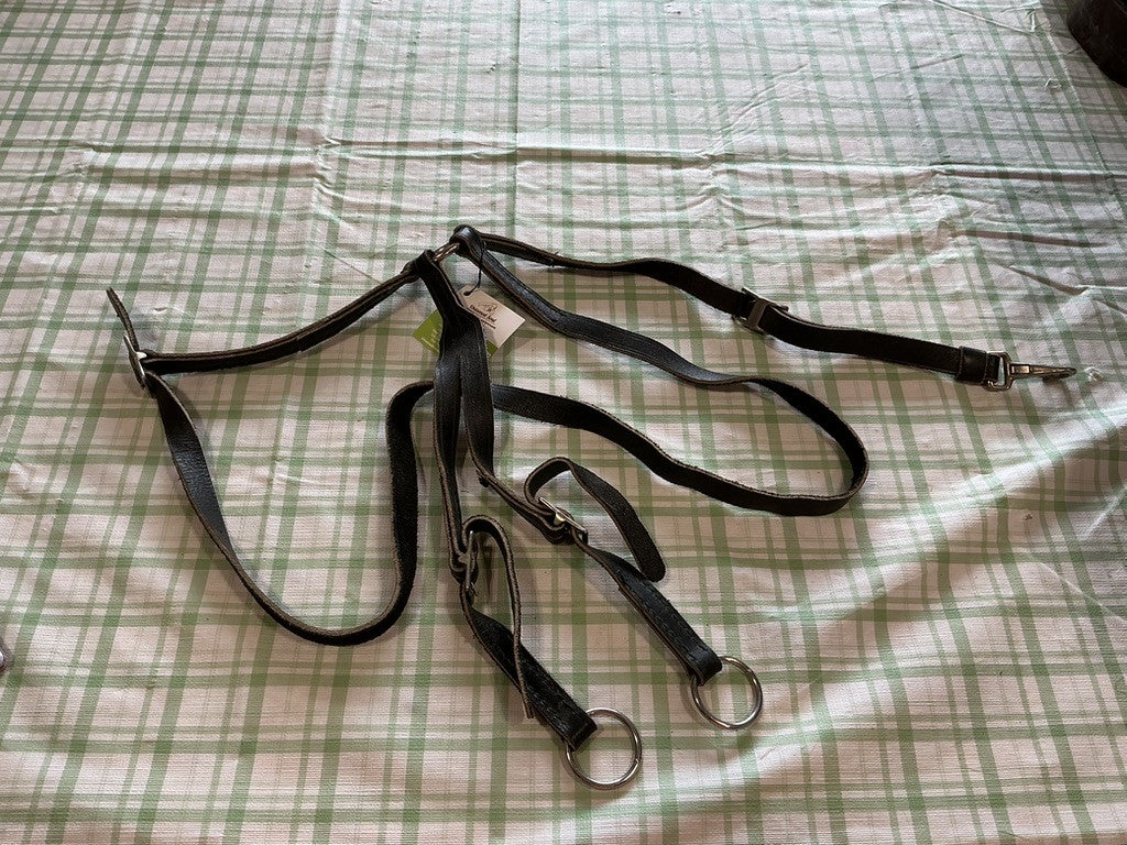 English Martingale 