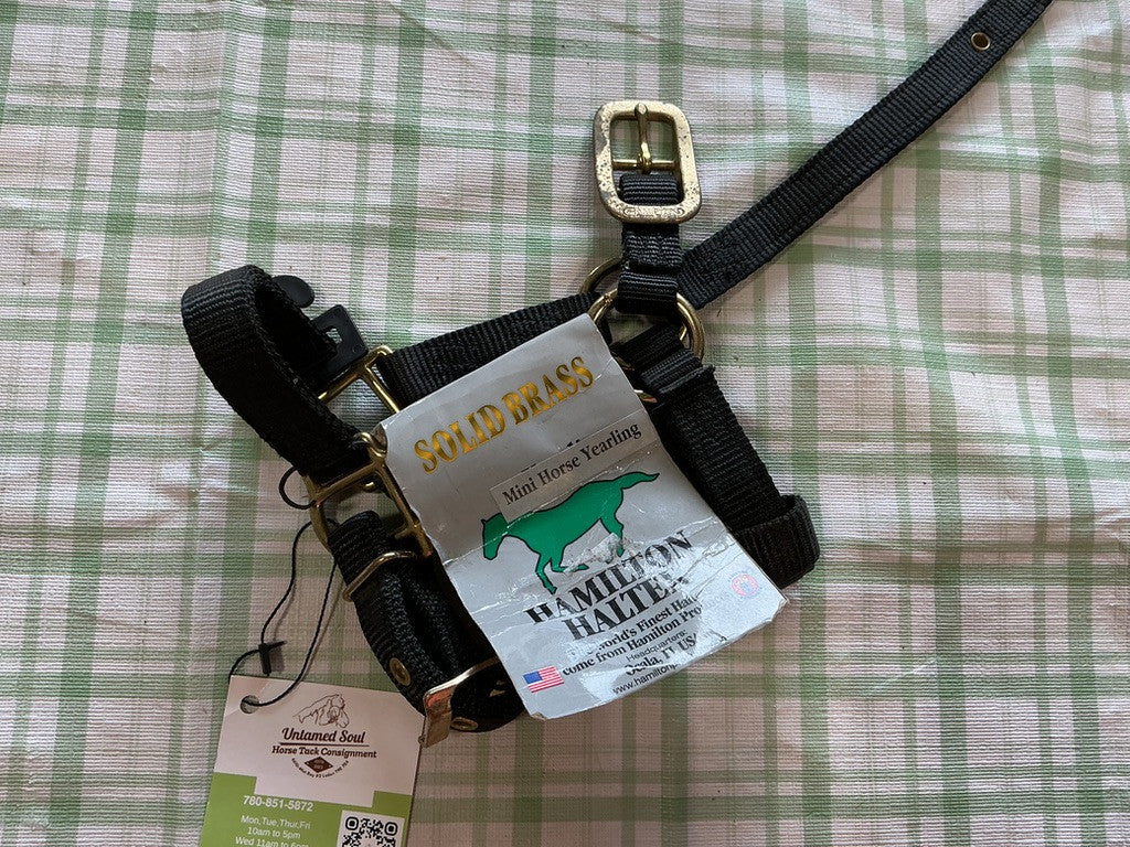 Nylon Halter Black Mini / yearling 