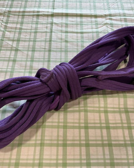 Lunge Line Purple 26' 