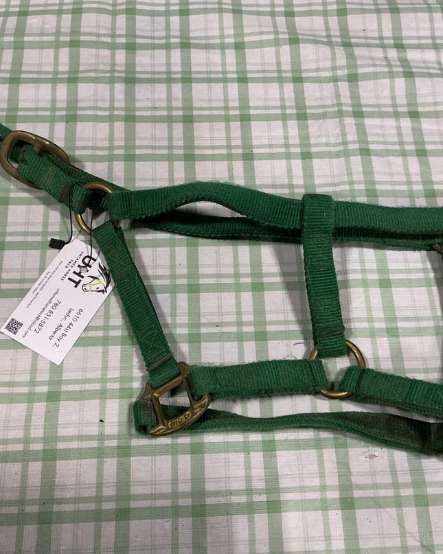 halter nylon green weanling 