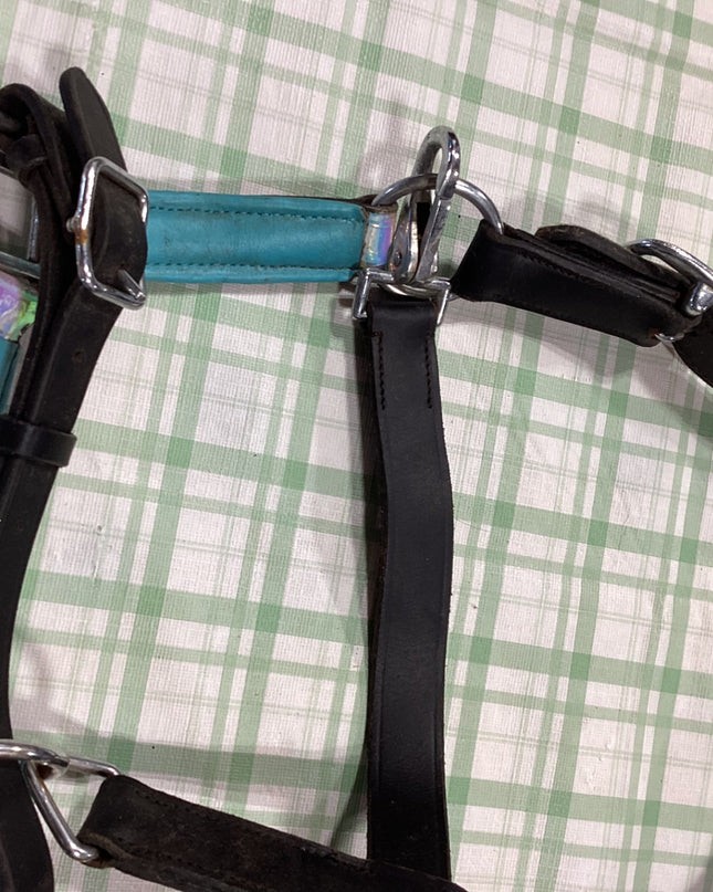 halter black nylon with reins to match 