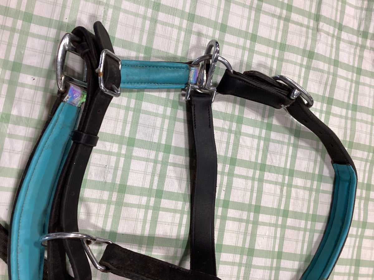 halter black nylon with reins to match 