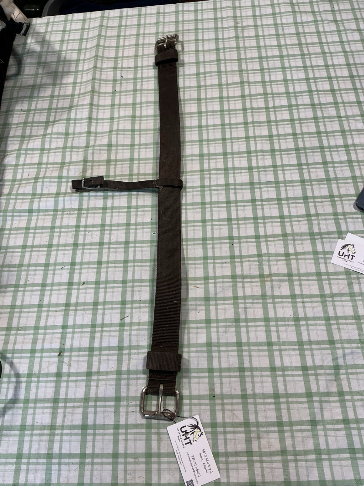 back cinch leather with extra strap 