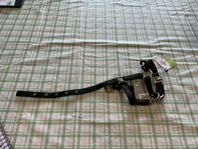 Nylon Halter Black Mini / yearling 